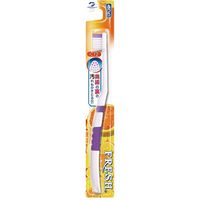 デンタルプロ フレッシュ ふつう 4973227030166 1セット(60本)（直送品）