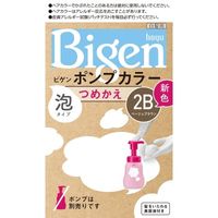 ホーユー ビゲン ポンプカラー つめかえ 2B ベージュブラウン 4987205032318 1セット（3セット）（直送品）