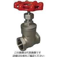 コンサス ゲートバルブ ステンレス 50A SUS316-50A 1個 4-2586-06（直送品）