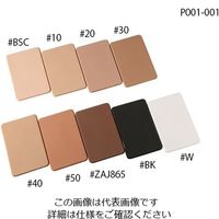 ビューラックス バイオスキンプレート 195×130mm ウレタン P001-001#10 1枚 4-1482-02（直送品）