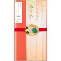 金封 お祝 大人 刺繍水引 鶴亀柄 1枚入（中袋付） 25469006 1セット（2個） デザインフィル（直送品）