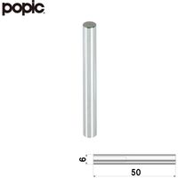 ファースト ポピック かざりビス20本セット ナットタイプ no6n50-20 1セット(20本)（直送品）