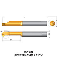 Carmex Precision Tools タイニーツール CandB 5mmx15 材質BXC MCR5R0.2L15 1セット(2個)（直送品）