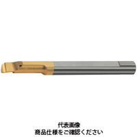 Carmex Precision Tools タイニーツール ボーリング 6x15 材質BXC MTR6R0.2L15 1セット(2個)（直送品）