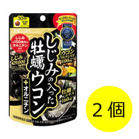 井藤漢方製薬 しじみの入った牡蠣ウコン+オルニチン 1セット（30日分×2個） 240粒 サプリメント