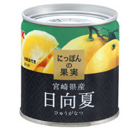 国分グループ本社 KK にっぽんの果実 宮崎県産 日向夏 1個