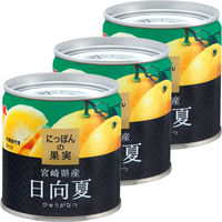 国分グループ本社 KK にっぽんの果実 宮崎県産 日向夏 1セット（3個）