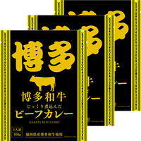 響 博多ビーフカレー 160g 1セット（3個）