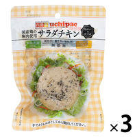 内野家 国産鶏 サラダチキン（ブラックペッパー＆ガーリック） 100g 1セット（3個）