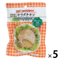 内野家 国産鶏 サラダチキン（長ネギ＆生姜） 100g 1セット（5個）