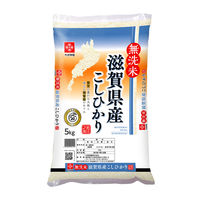 無洗米 5kg 滋賀県産コシヒカリ 1袋 令和5年産 米 お米 こしひかり