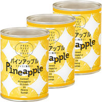 三菱食品 パインアップル スライス（タイ産） 565g 1セット（3缶）