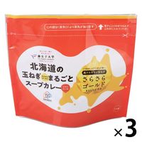 サッポロウエシマコーヒー 北海道の玉ねぎまるごとスープカレー 1セット（3袋）