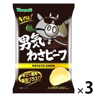 山芳製菓 ポテトチップス 男気わさビーフ 100g 3袋 スナック菓子