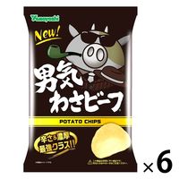 山芳製菓 ポテトチップス 男気わさビーフ 100g 6袋 スナック菓子