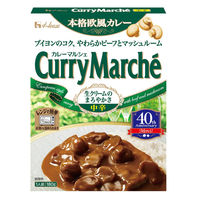 ハウス食品 カレーマルシェ 中辛 1個