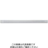 新潟精機 ベベル形ストレートエッジ BーA500 1個（直送品）