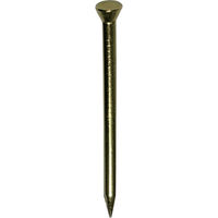ダイドーハント HP 真鍮レール釘 1.7×25 40本入 10183132 1パック(40本) 117-2942（直送品）