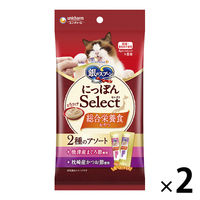 銀スプーン とろリッチ 2種のまぐろ＆かつおアソート 国産 48g（6g×8本）2袋 キャットフード おやつ
