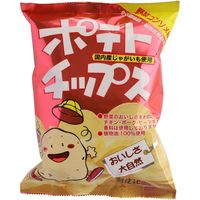 創健社 ポテトチップス　野菜コンソメ味 60g 160454　1セット（60g×20）（直送品）