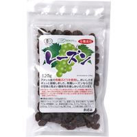 創健社 有機栽培レーズン 120g 161854　1セット（120g×20）（直送品）