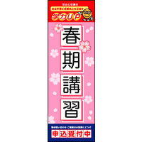 のぼり旗 春期講習 01  W600×H1800mm 1枚 田原屋（直送品）