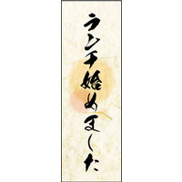 のぼり旗 ランチ始めました 03  W600×H1800mm 1枚 田原屋（直送品）