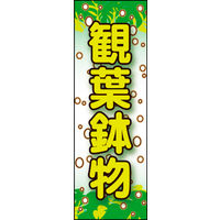 田原屋　のぼり旗 観葉鉢物