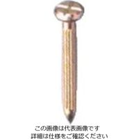 エス・ティ・エス STS 測量用ネイルNO.1 (500本入) NO.1 1箱(500本) 807-2633（直送品）