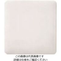 パナソニック Panasonic ワイド21カバーP2連・ベージュ WTC7092F 1セット(10個) 159-2438（直送品）