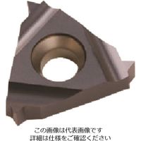 Carmex Precision Tools NOGA カーメックスねじ切り用チップ 16ER8WBMA 208-8916（直送品）