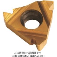 Carmex Precision Tools NOGA カーメックスねじ切り用チップ 06ILA55BXC 209-0008（直送品）