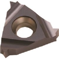 Carmex Precision Tools NOGA カーメックスねじ切り用チップ 16IRB2.0ISOBMA 1セット(10個)（直送品）