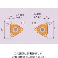Carmex Precision Tools NOGA カーメックスねじ切り用チップ 16IL2TRBMA 209-0450（直送品）