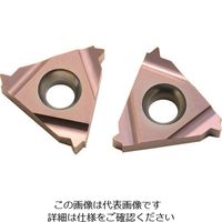 Carmex Precision Tools NOGA カーメックスねじ切り用チップ 16IR1.5ISO