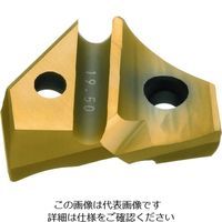 ダイジェット工業（DIJET） ダイジェット ミラーラジアス用チップ RNM