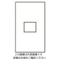 パナソニック Panasonic ワイド21コンセント用腰高プレート WTF8051F 1セット(10個) 157-3455（直送品）