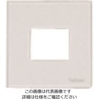 パナソニック Panasonic ワイド21ミニコンセントプレート WTF8071F 1セット(10個) 159-0915（直送品）