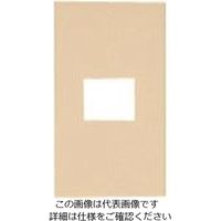 パナソニック Panasonic ワイド21コンセントプレート簡易耐火 WTF8701F 1セット(10個) 159-7238（直送品）