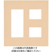 パナソニック Panasonic ワイド21コンP簡易耐火5コ用(3+2) WTF8705F 1セット(10個) 159-0814（直送品）