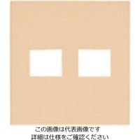 パナソニック Panasonic ワイド21コンP簡易耐火2コ用(1+1) WTF8772F 1セット(10個) 157-6771（直送品）