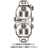 パナソニック Panasonic 輸出15A125V接地Wコン WCF62115B 1セット(10個) 159-7341（直送品）