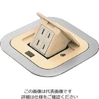 パナソニック Panasonic F型アップコン角型ビル用2コ用アイボリー DU1300WT 1個 159-4164（直送品）