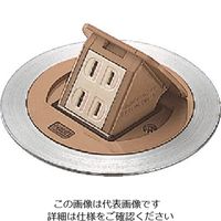 パナソニック Panasonic F型アップコン丸型ビル用2コ用バーチ DU1100ATK 1個 159-5718（直送品）