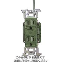 パナソニック Panasonic フルカラー医用アース付ダブルコン・G WN1318GK 1セット(10個) 158-1490（直送品）