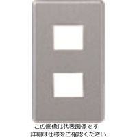 パナソニック Panasonic フルカラー新金属プレート2型2コ用 WN65029 1セット(5個) 157-9925（直送品）