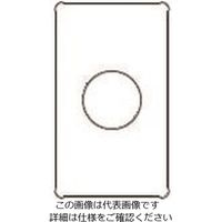 パナソニック Panasonic フルカラー新金属コンセントプレート WN65539 1セット(5個) 158-4656（直送品）