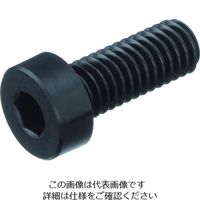 TRUSCO ガラス繊維強化ポリアミドMXD6 RENY黒 六角穴付低頭ボルト M4X12 50本 BRENY-BKLCM4X12（直送品）