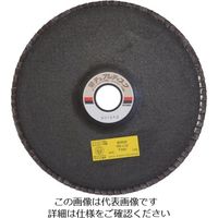 日本レヂボン レヂボン デュアルディスクDD 180×22 SZ40S DD180-SZ40 1セット(5枚) 852-4983（直送品）