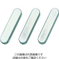 セイキ製作所 セイキ 平行キー 両丸SUS316 1袋 (5個入) PRS0610 1袋(5個) 194-8332（直送品）